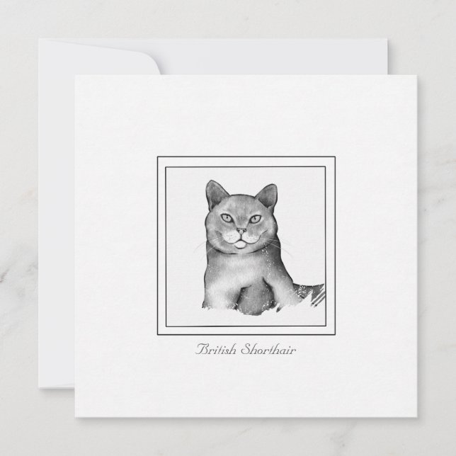 Black and White British Shorthair Cat Drawing Card (Front)