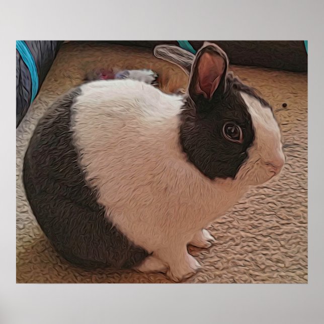 Black and White Bunny Poster (Front)