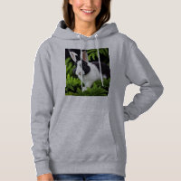 Black And White Bunny Rabbit,