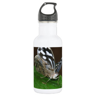 Black and White Butterfly 532 Ml Water Bottle