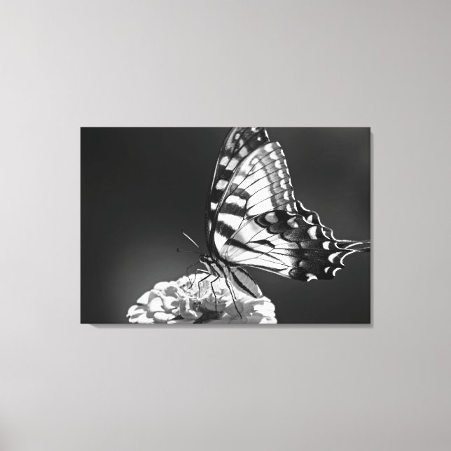 Black and White Butterfly Canvas (Front)