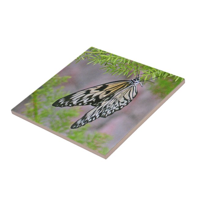 "BLACK AND WHITE BUTTERFLY" CERAMIC TILE/TRIVET TILE (Side)