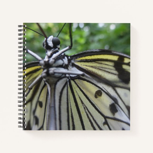 Black and White Butterfly Close Up Notebook (Front)
