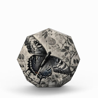 Black and white butterfly drawing photo block