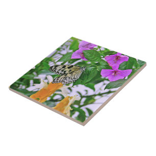 "BLACK AND WHITE BUTTERFLY IN GARDEN" TILE