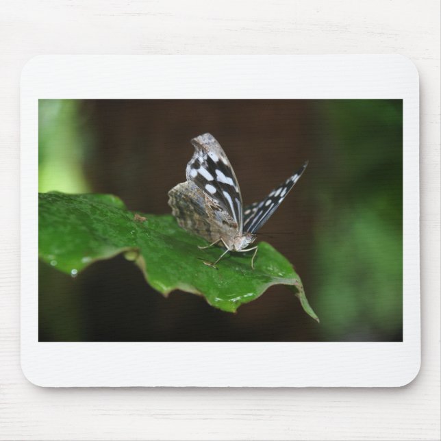 Black and White Butterfly Mouse Pad (Front)