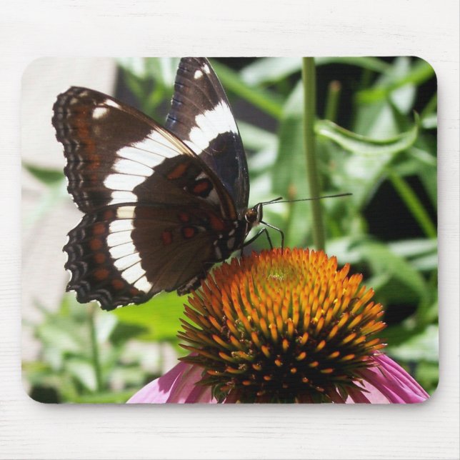 Black and White Butterfly Mouse Pad (Front)
