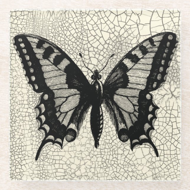 Black and White Butterfly on Cracked Background Glass Coaster (Front)