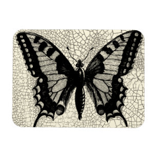 Black and White Butterfly on Cracked Background Magnet