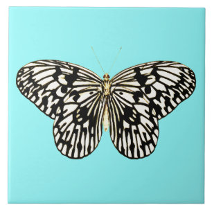 Black and white butterfly, turquoise background tile