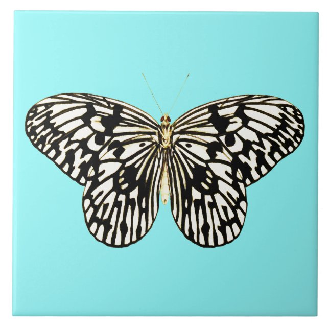 Black and white butterfly, turquoise background tile (Front)