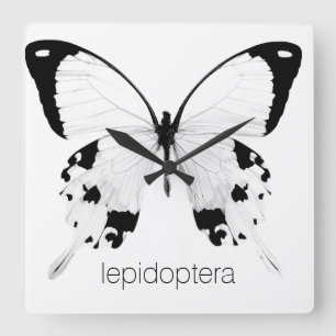 black and white butterfly wall clock