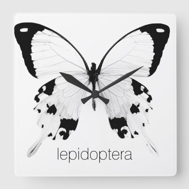 black and white butterfly wall clock (Front)