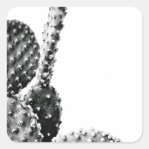 Black and White Cactus Black and White Square Sticker
