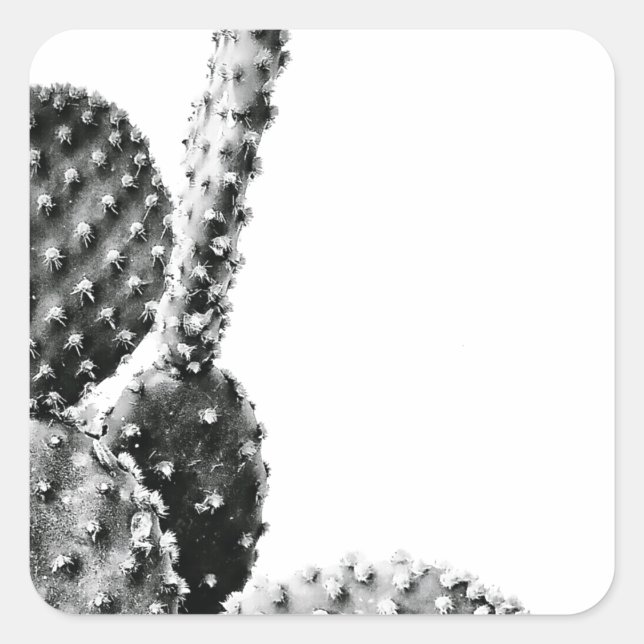 Black and White Cactus Black and White Square Sticker (Front)