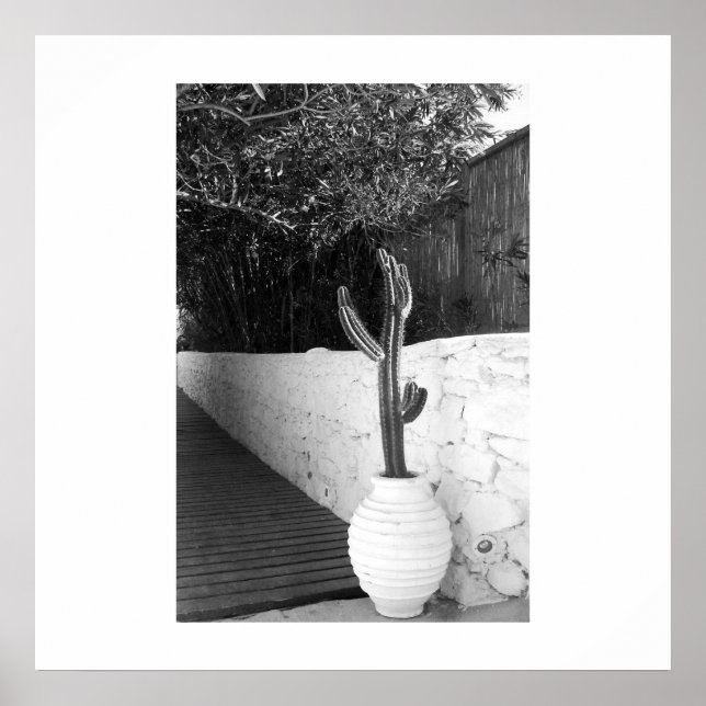 Black and white cactus poster art summer photo (Front)