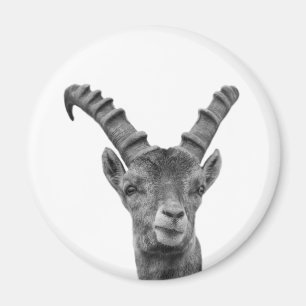 Black and white capricorn animal photo magnet