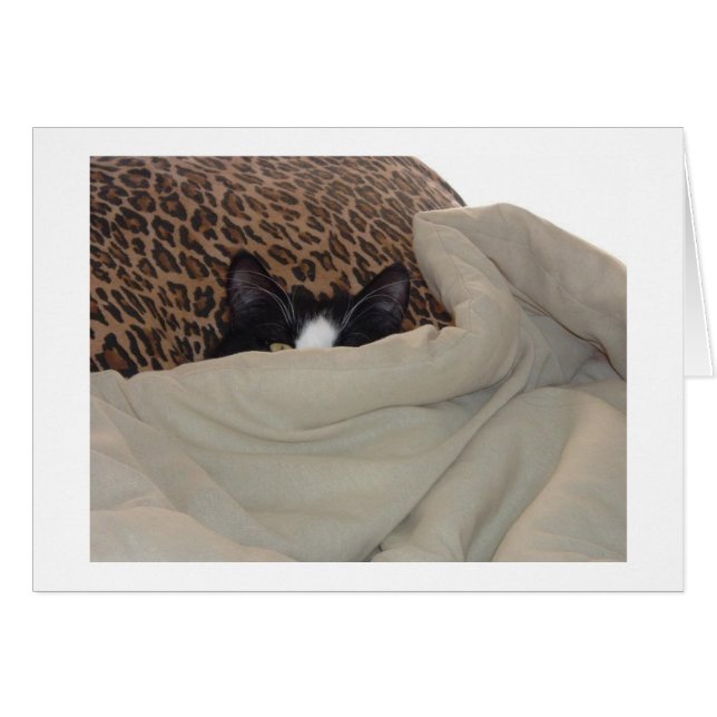 Black and White Cat (Front Horizontal)