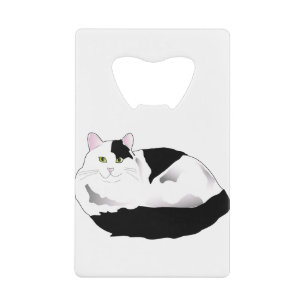 Black and White Cat