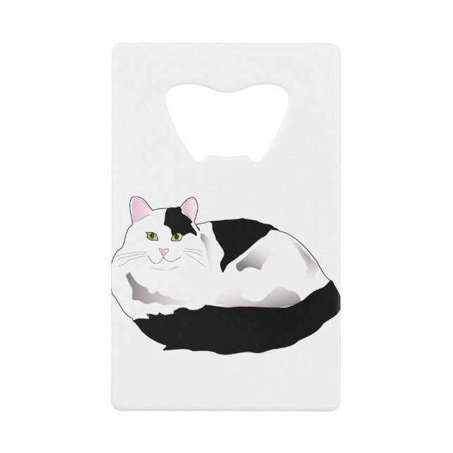 Black and White Cat (Front)