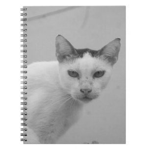 Black and White - Cat 02 Notebook