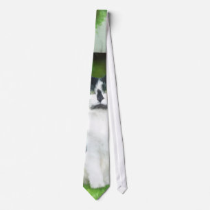 Black and White Cat by Flowers Tie