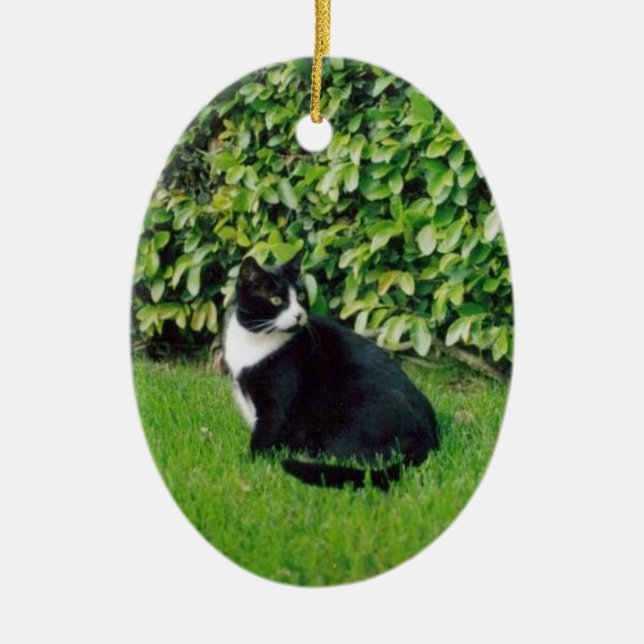 Black and White Cat Ceramic Tree Decoration (Front)