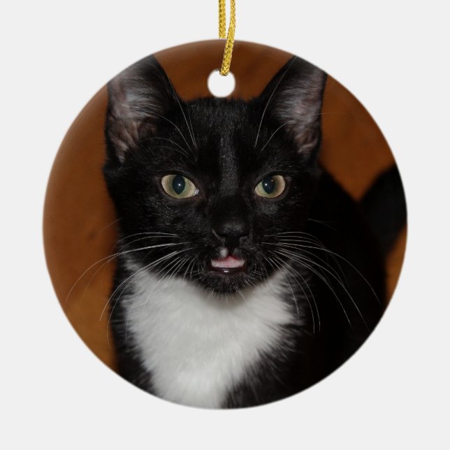 BLACK AND WHITE CAT CERAMIC TREE DECORATION (Front)