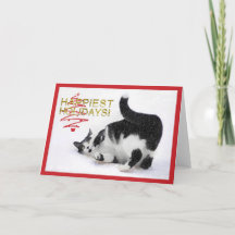 Black and White Cat Christmas Card