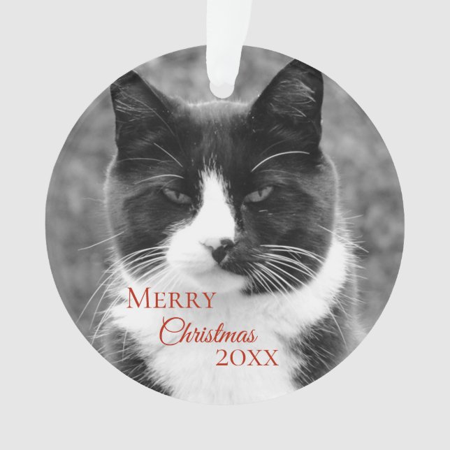 Black and White Cat Christmas Ornament (Front)