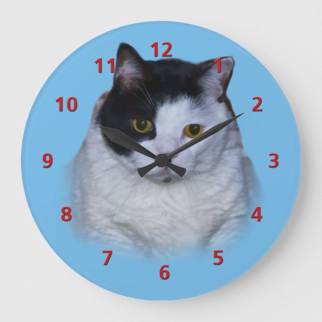 Black and White Cat, Customisable Clock (Front)