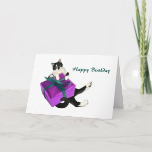 Black and White Cat Gift Birthday Card