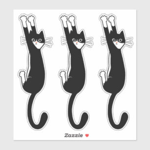 Black and White Cat Hanging On   Funny Tuxedo Cat