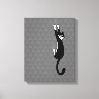 Black and White Cat Hanging On | Funny Tuxedo Cat