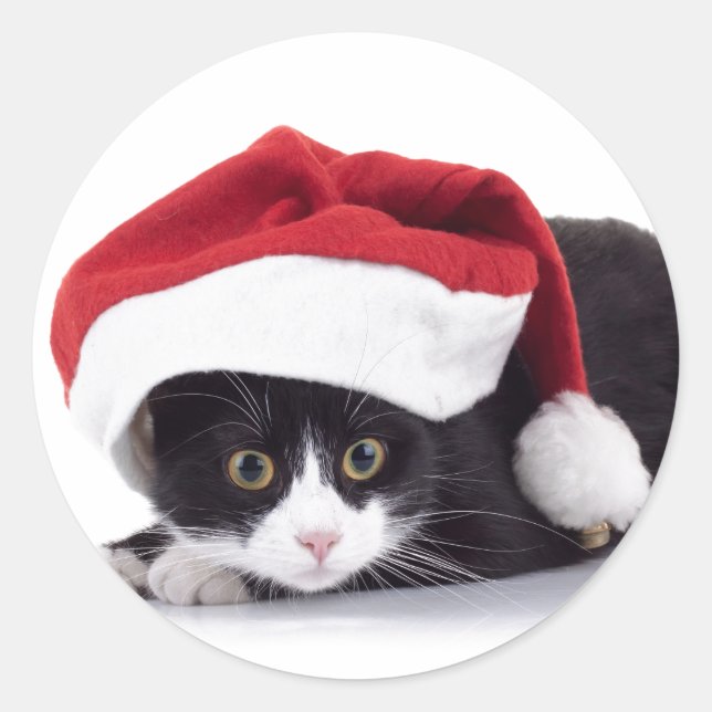 BLACK AND WHITE CAT IN Santa hat Sticker (Front)