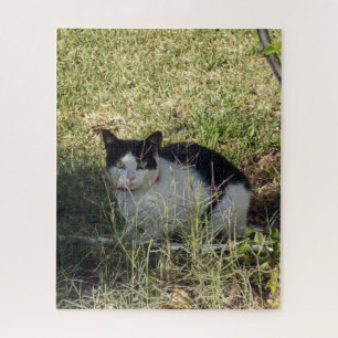 Black And White Cat In The Garden, Jigsaw Puzzle