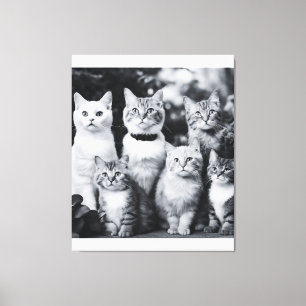 Black and White Cat Photo Art Canvas Print