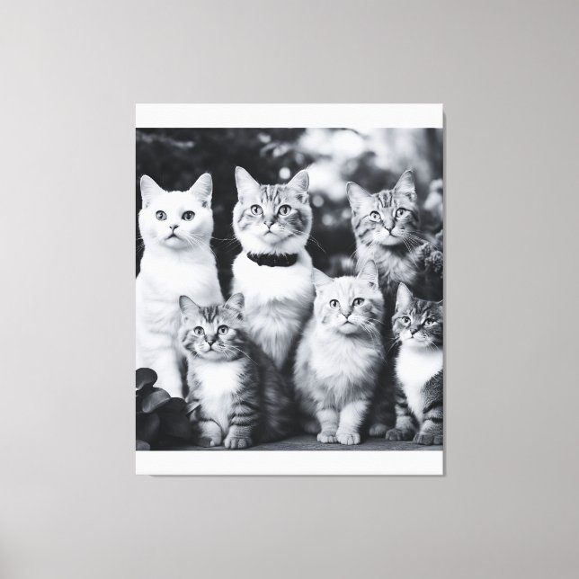 Black and White Cat Photo Art Canvas Print (Front)