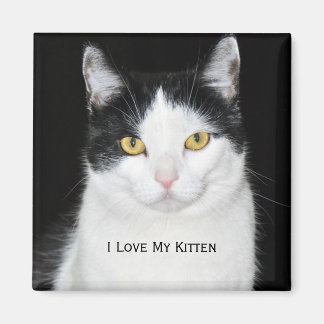 Black and White Cat Portrait Magnet