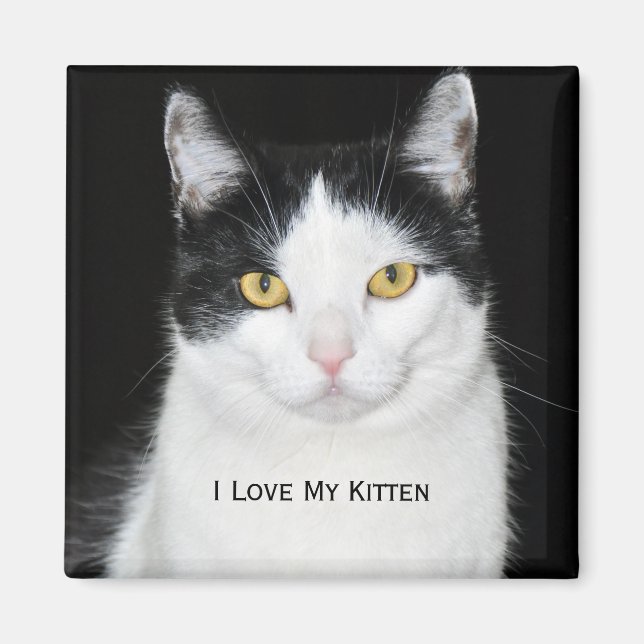 Black and White Cat Portrait Magnet (Front)