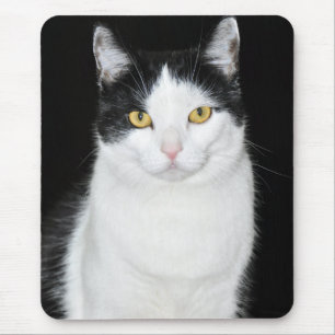 Black and White Cat Portrait Mouse Pad