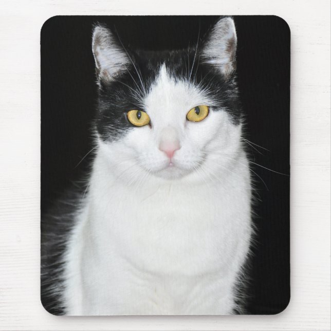 Black and White Cat Portrait Mouse Pad (Front)