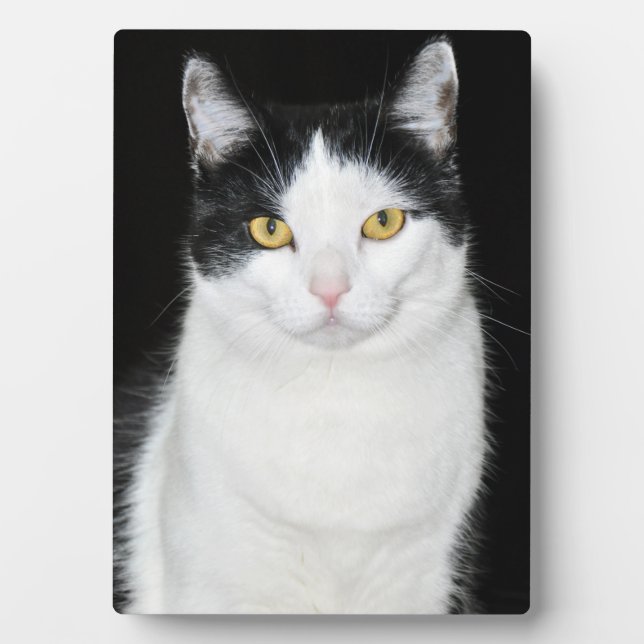 Black and White Cat Portrait Plaque (Front)