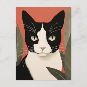 Black and White Cat Postcard