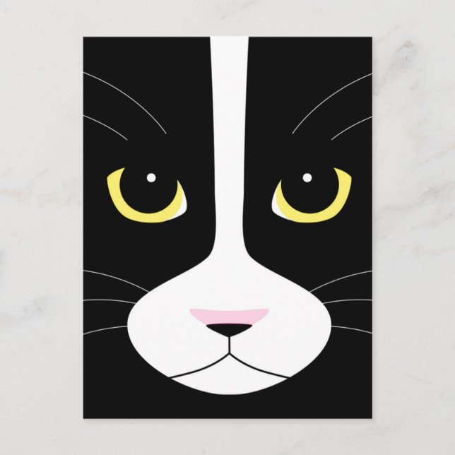 Black and White Cat Postcard (Front)