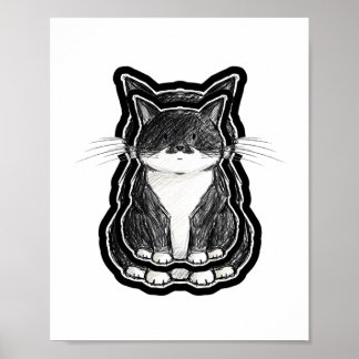 Black and White Cat Poster