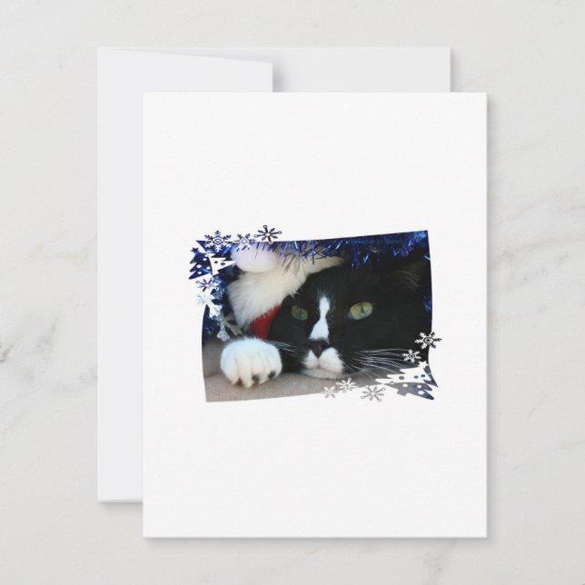 Black and white cat , santa hat, tinsel and a paw holiday card (Front)