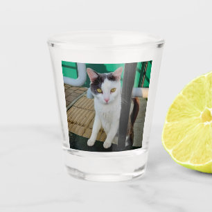 Black and white cat shot glass