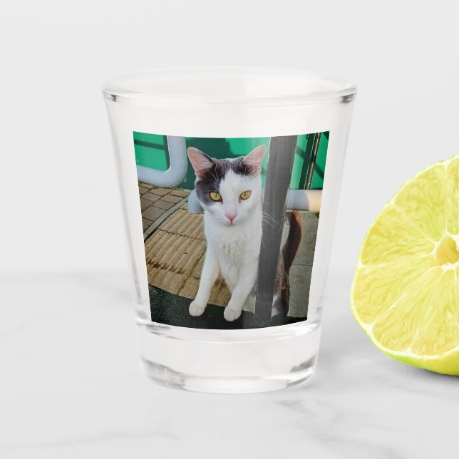 Black and white cat shot glass (Front)