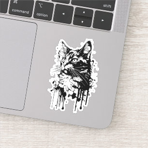 Black and White Cat Splash